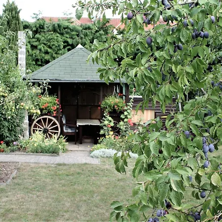 Luxurious In With Parking And Barbecue Lägenhet